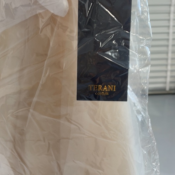 Charming prom Terani 2 pc ensemble. - Picture 4 of 4